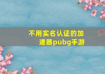 不用实名认证的加速器pubg手游