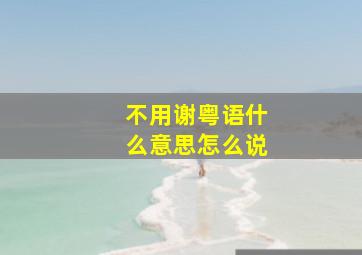 不用谢粤语什么意思怎么说