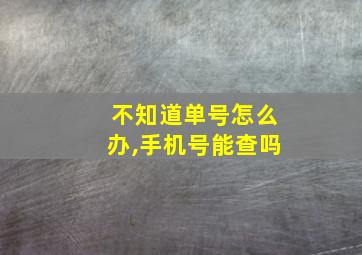 不知道单号怎么办,手机号能查吗