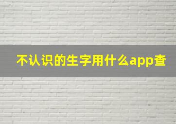 不认识的生字用什么app查