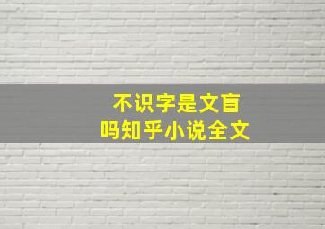 不识字是文盲吗知乎小说全文