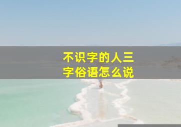 不识字的人三字俗语怎么说