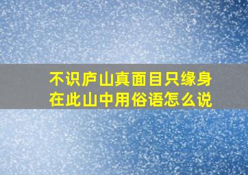 不识庐山真面目只缘身在此山中用俗语怎么说