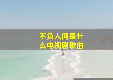 不负人间是什么电视剧歌曲