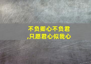 不负卿心不负君,只愿君心似我心