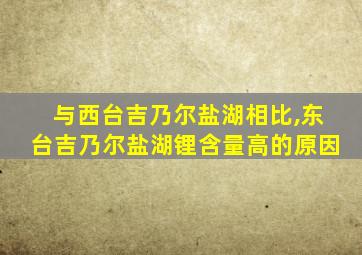 与西台吉乃尔盐湖相比,东台吉乃尔盐湖锂含量高的原因