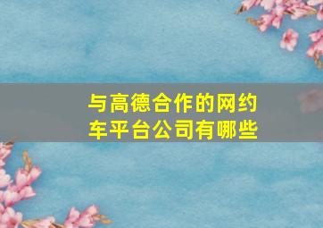 与高德合作的网约车平台公司有哪些