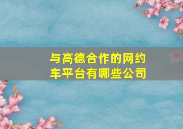 与高德合作的网约车平台有哪些公司