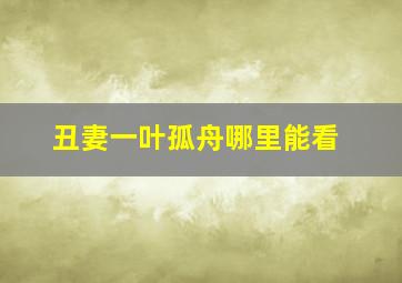 丑妻一叶孤舟哪里能看