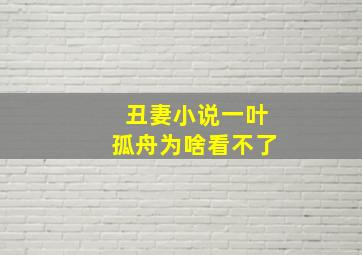 丑妻小说一叶孤舟为啥看不了