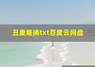 丑妻难搞txt百度云网盘