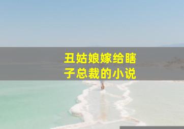 丑姑娘嫁给瞎子总裁的小说