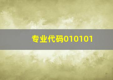 专业代码010101