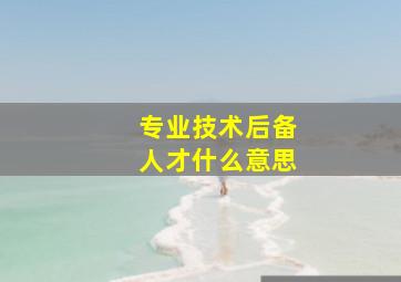 专业技术后备人才什么意思