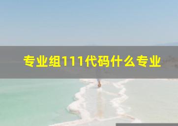 专业组111代码什么专业