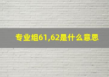 专业组61,62是什么意思