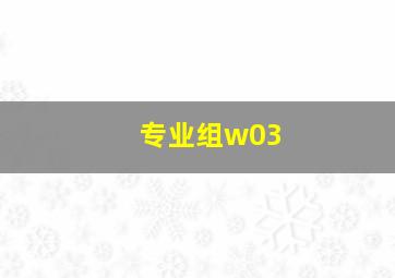 专业组w03