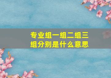 专业组一组二组三组分别是什么意思