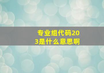 专业组代码203是什么意思啊