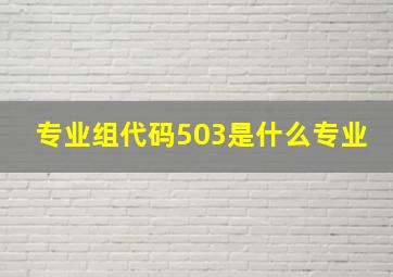 专业组代码503是什么专业