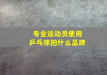 专业运动员使用乒乓球拍什么品牌