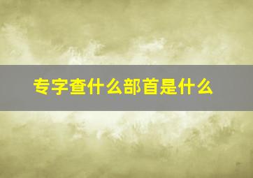 专字查什么部首是什么