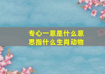 专心一意是什么意思指什么生肖动物