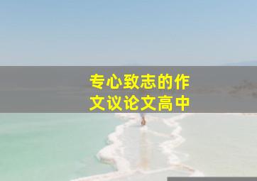 专心致志的作文议论文高中