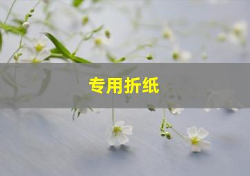 专用折纸