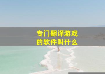 专门翻译游戏的软件叫什么