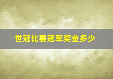 世冠比赛冠军奖金多少