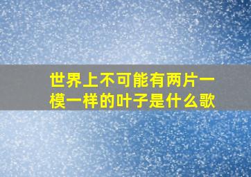 世界上不可能有两片一模一样的叶子是什么歌