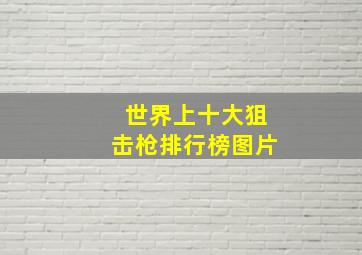 世界上十大狙击枪排行榜图片