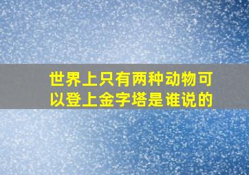 世界上只有两种动物可以登上金字塔是谁说的