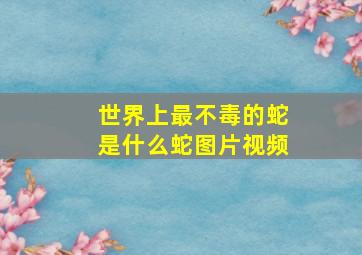 世界上最不毒的蛇是什么蛇图片视频