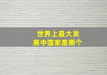 世界上最大发展中国家是哪个