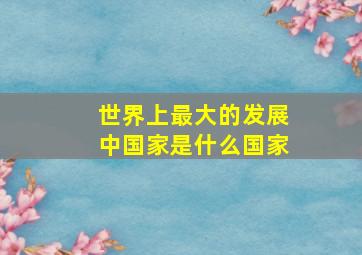 世界上最大的发展中国家是什么国家