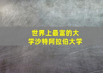 世界上最富的大学沙特阿拉伯大学