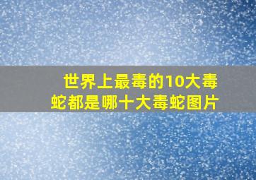 世界上最毒的10大毒蛇都是哪十大毒蛇图片