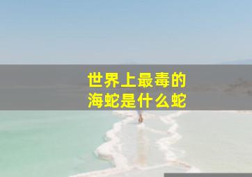 世界上最毒的海蛇是什么蛇