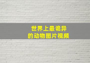 世界上最诡异的动物图片视频