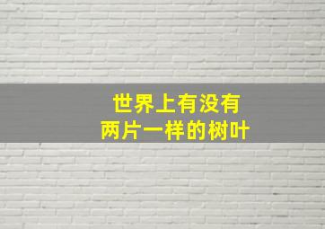 世界上有没有两片一样的树叶