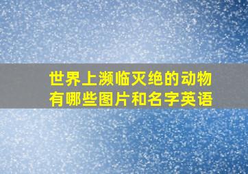 世界上濒临灭绝的动物有哪些图片和名字英语