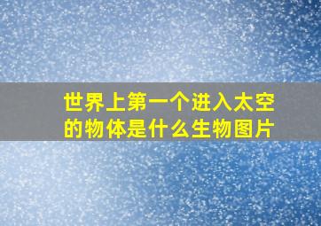 世界上第一个进入太空的物体是什么生物图片