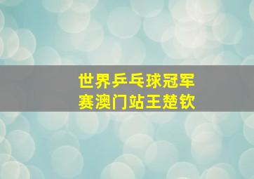 世界乒乓球冠军赛澳门站王楚钦