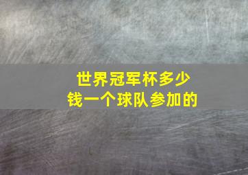 世界冠军杯多少钱一个球队参加的