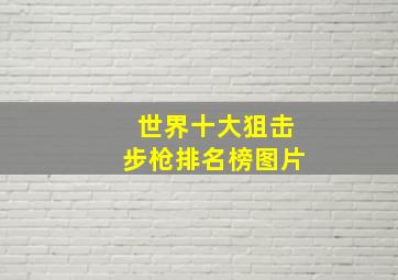 世界十大狙击步枪排名榜图片