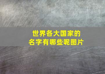 世界各大国家的名字有哪些呢图片