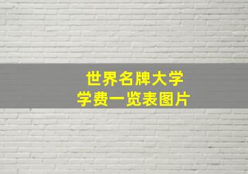 世界名牌大学学费一览表图片