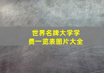 世界名牌大学学费一览表图片大全